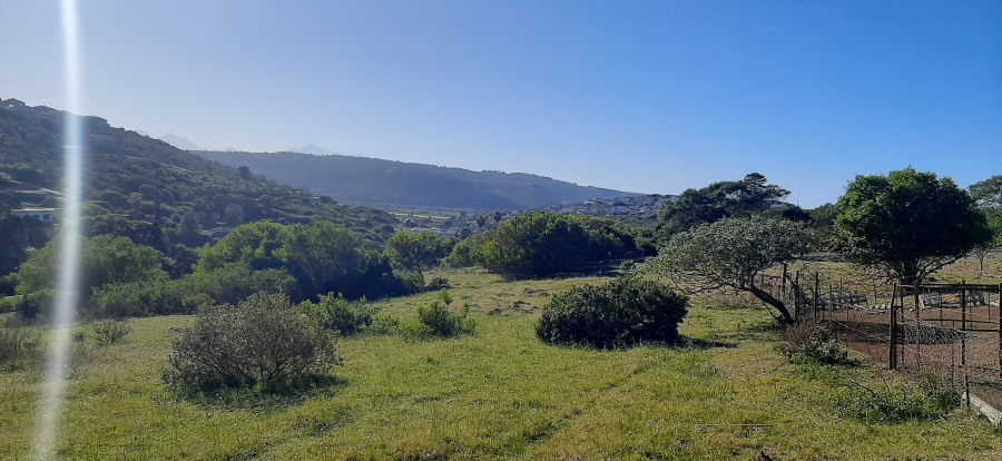 Commercial Property for Sale in Bergsig Western Cape